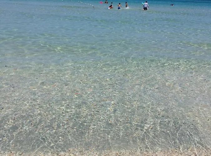 Cabin Rentals in Mahdia